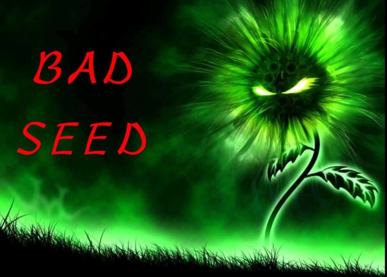 bad seed insidia