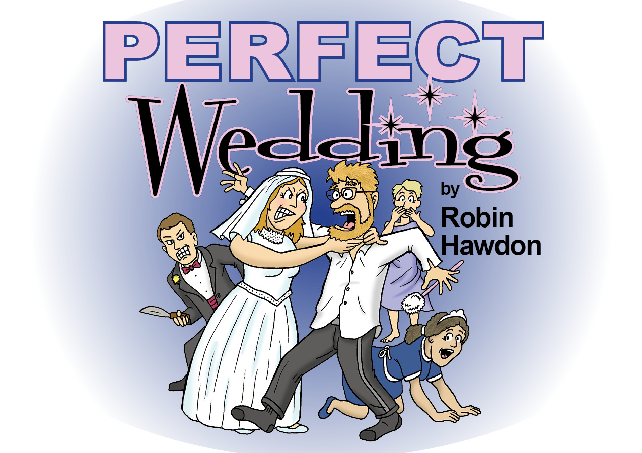 Perfect Wedding by Robin Hawdon