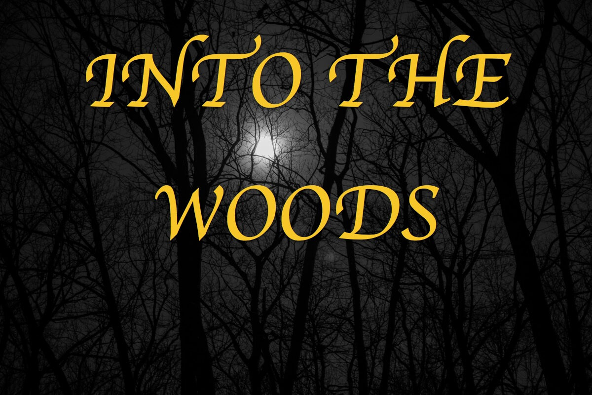 into the woods